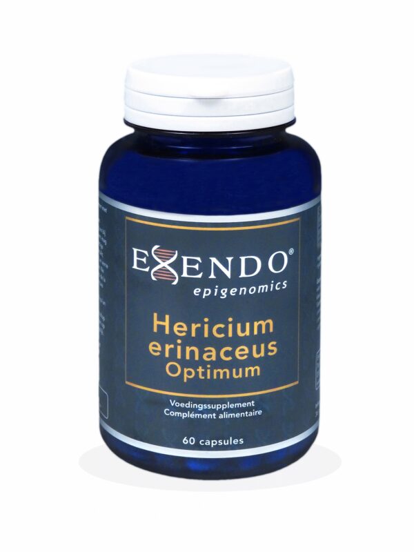 Hericium erinaceus Optimum