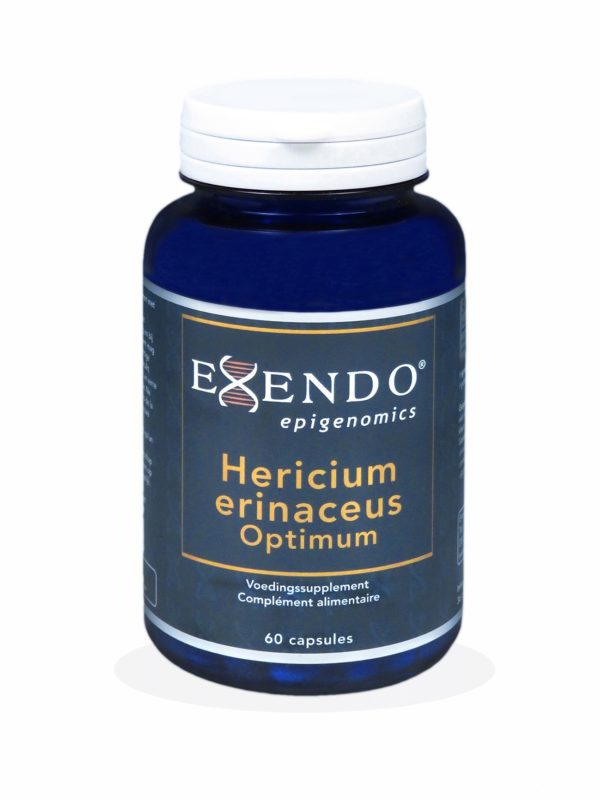 Hericium-erinaceus-Optimum-e1471792708132